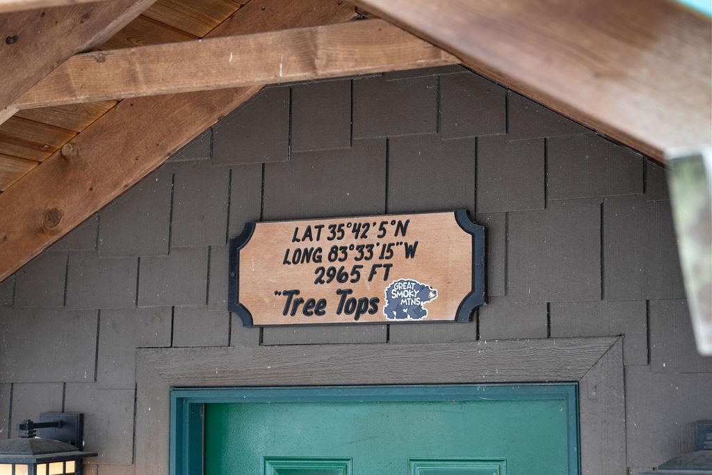 Tree Tops | Photo 44