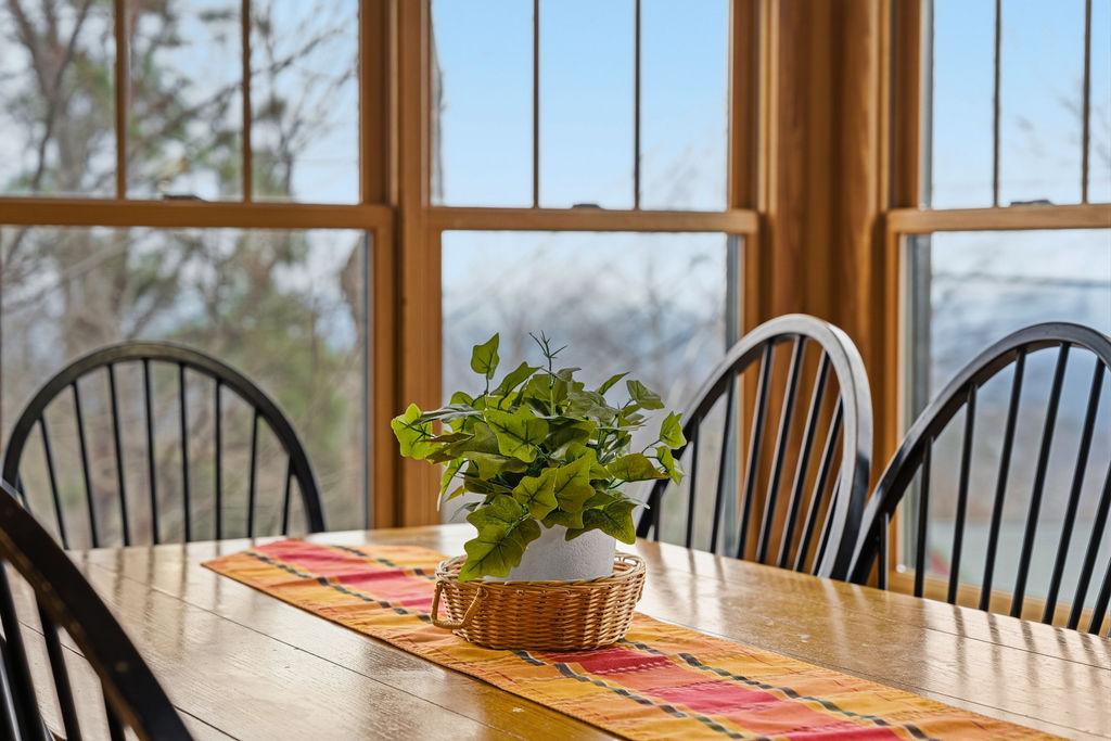 Tree Tops | Photo 10