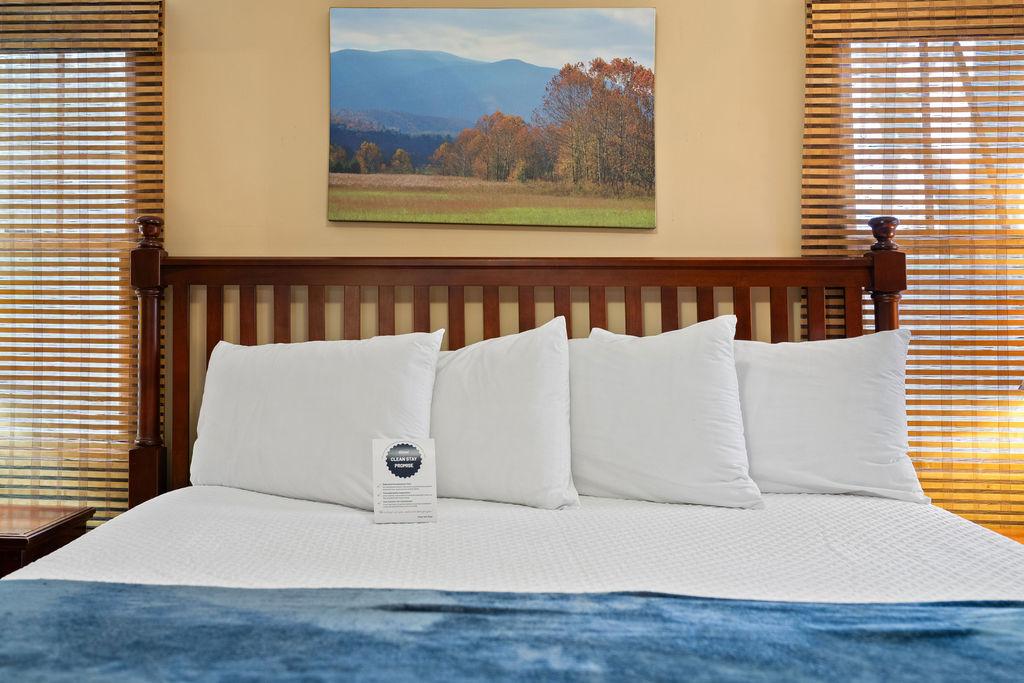 Tree Tops | Photo 27