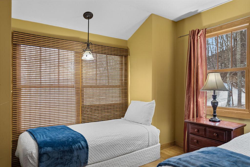 Tree Tops | Photo 31