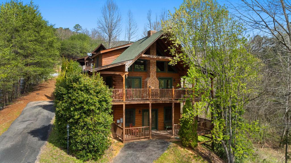 Bear's Den | Photo 46