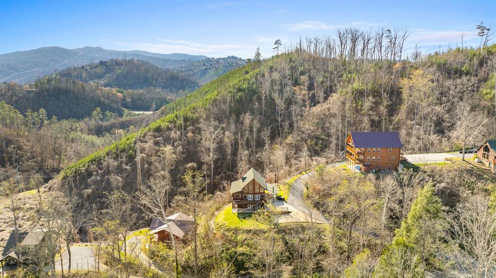 Honey Bear Lodge | Photo 69