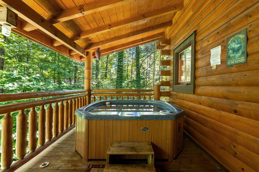 Tennessee Treasure | Photo 39