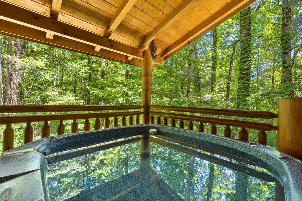 Tennessee Treasure 2