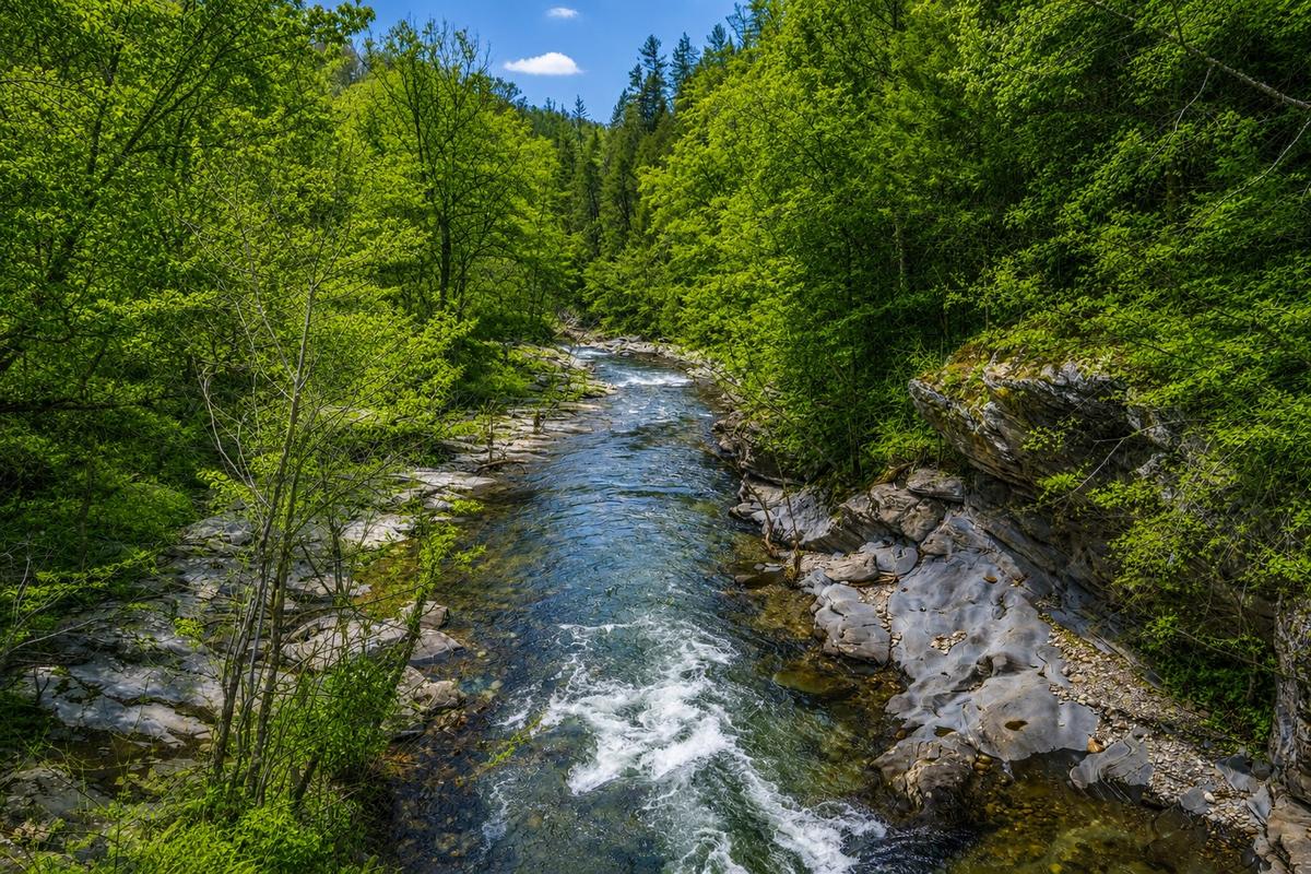 River Romp | Photo 32
