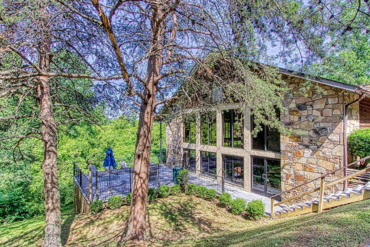Treetop Bungalow