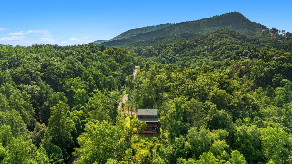 HIlltop Dreamin'