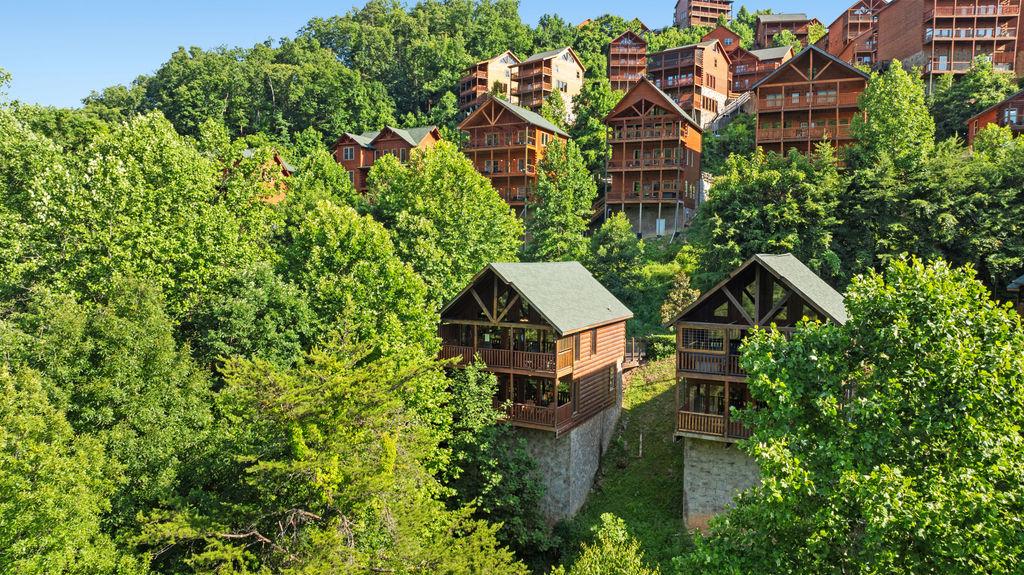 Cubby Bear Cabin