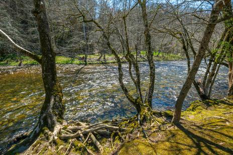 Barefoot By The River