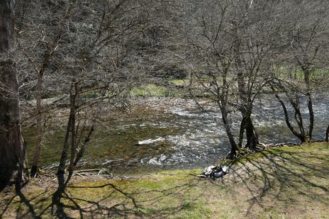 Barefoot By The River