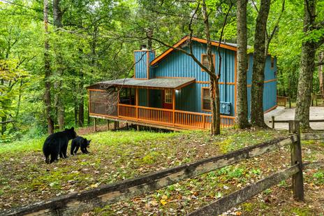 Dogwood Hideaway