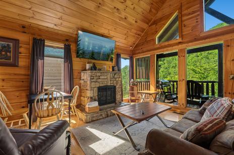 Cubby Bear Cabin