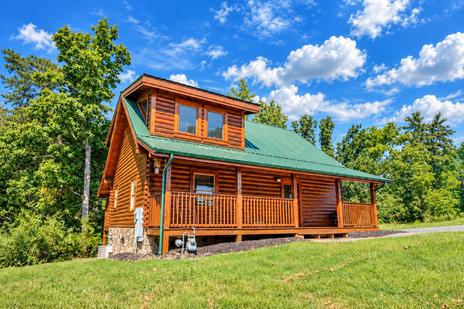 Among The Oaks